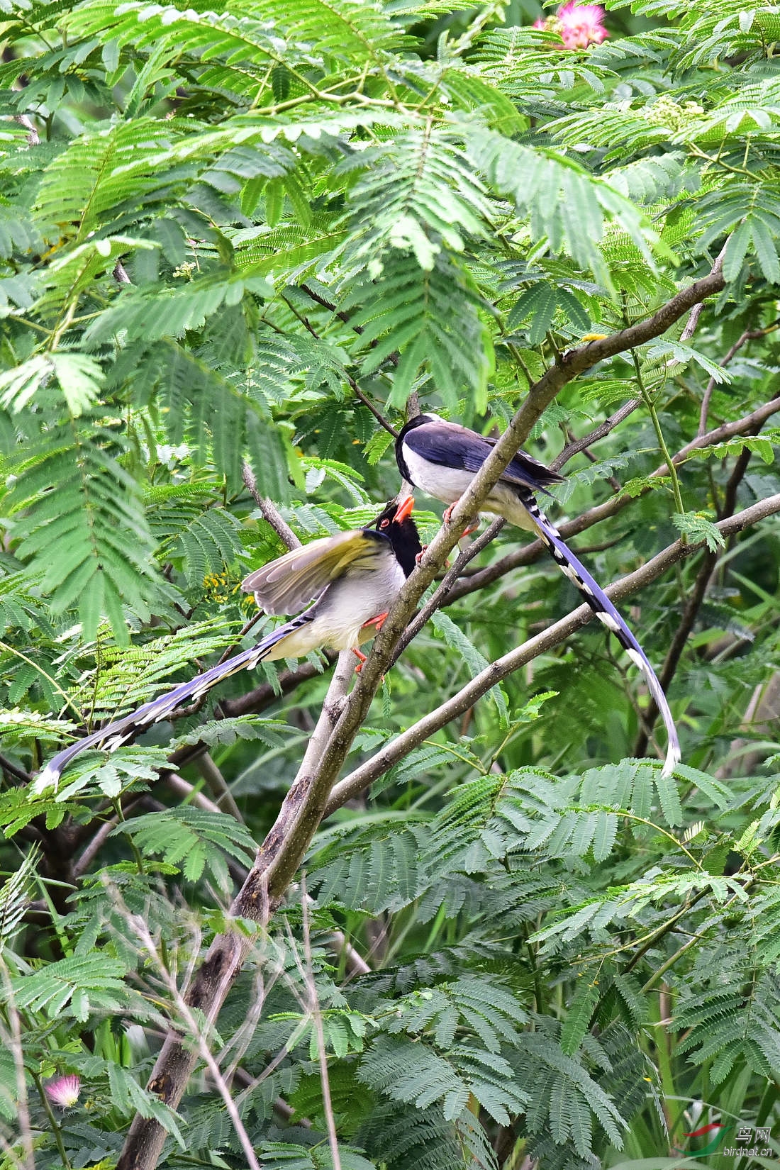 DSC_0117.JPG