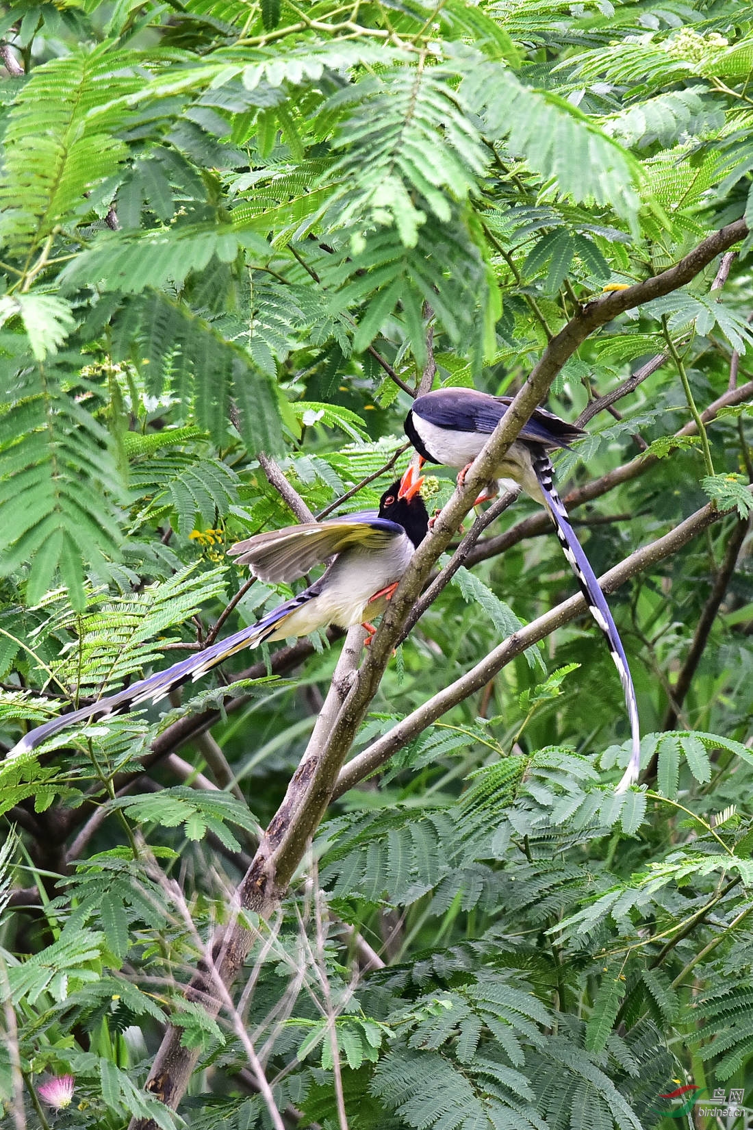 DSC_0118.JPG