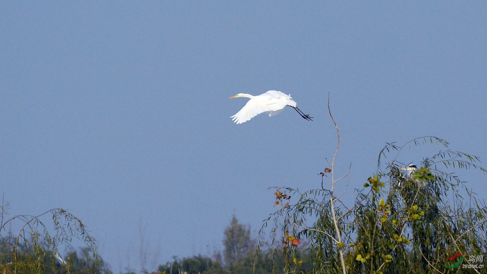 DSC_4311.JPG