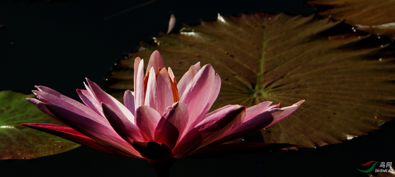 DSC00401.JPG