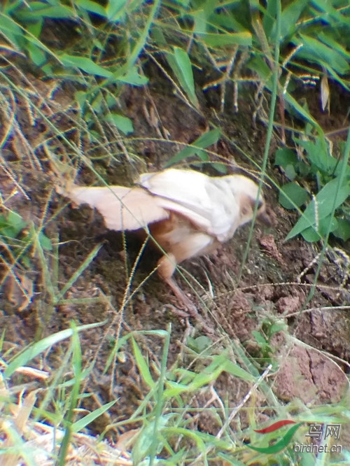 2015-05-31_����.jpg