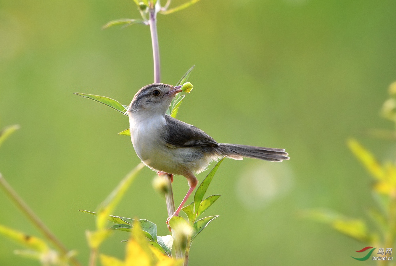 DSC_7999.jpg
