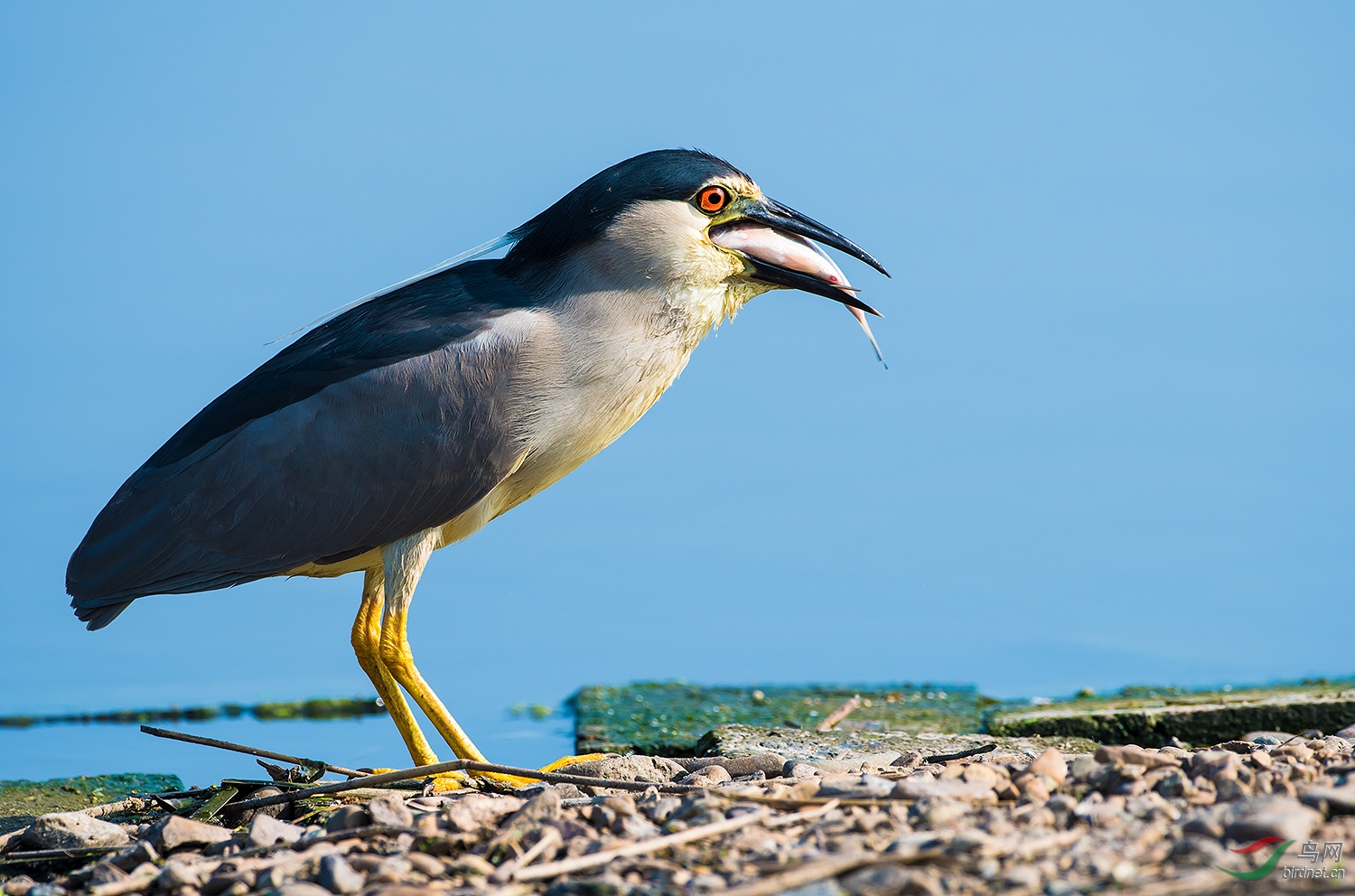 DSC_5428.jpg