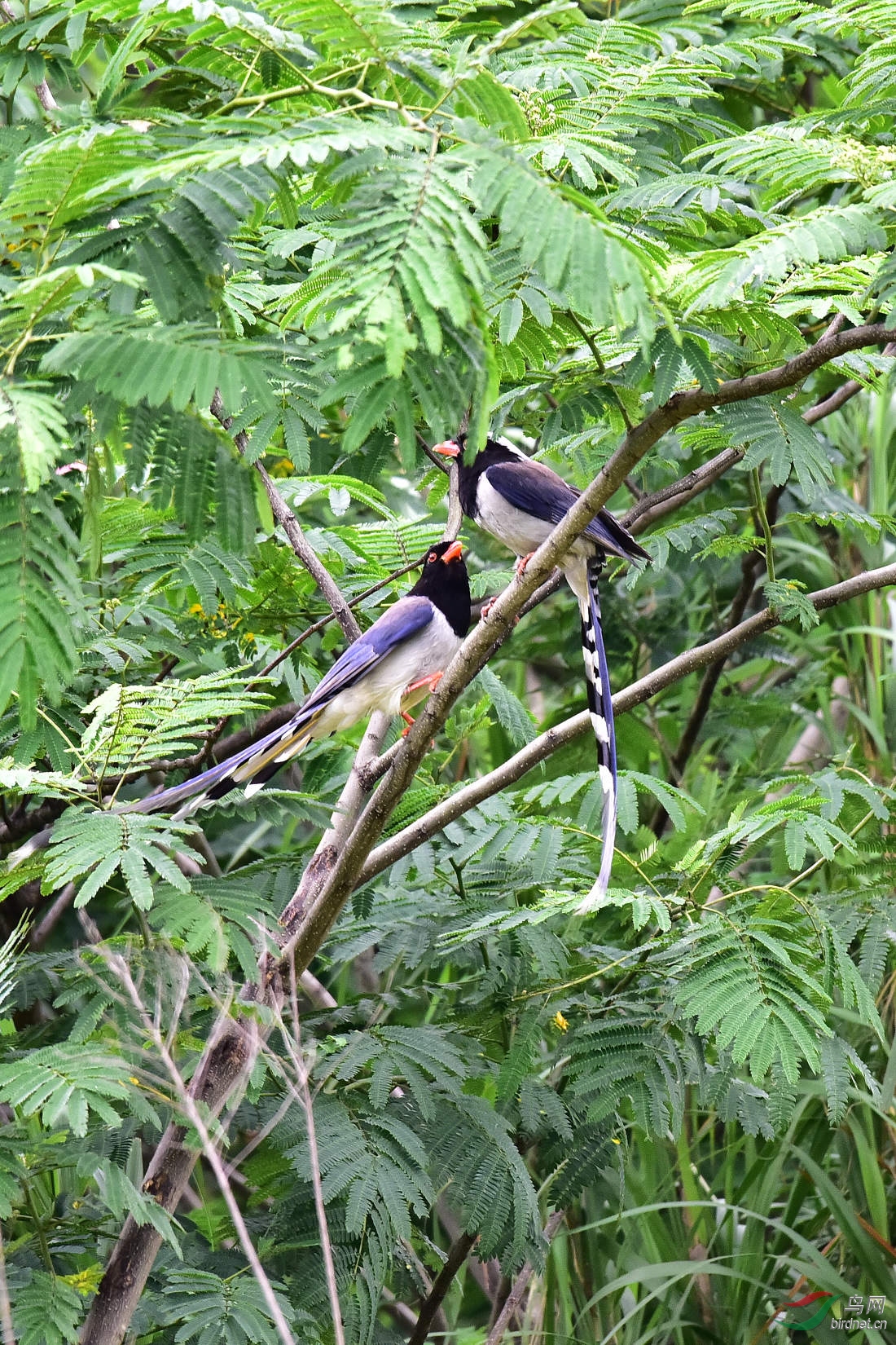 DSC_0123.JPG