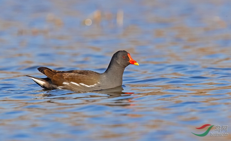 05.jpg