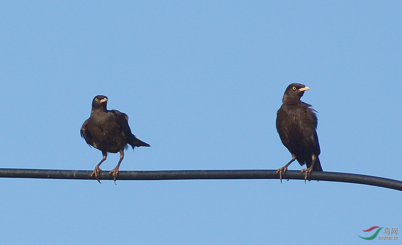 DSC_6903.JPG
