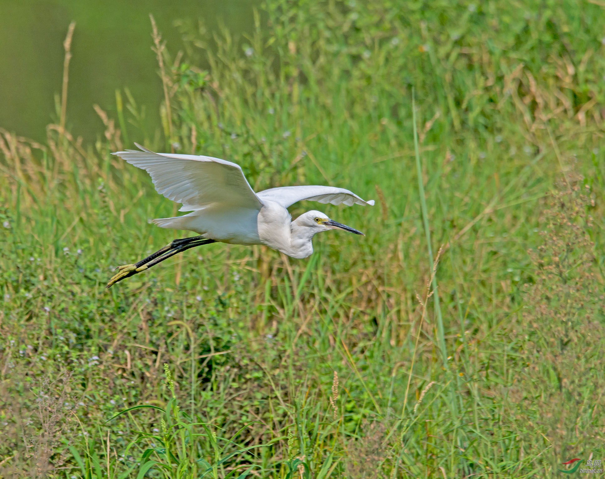 DSC_8414.jpg