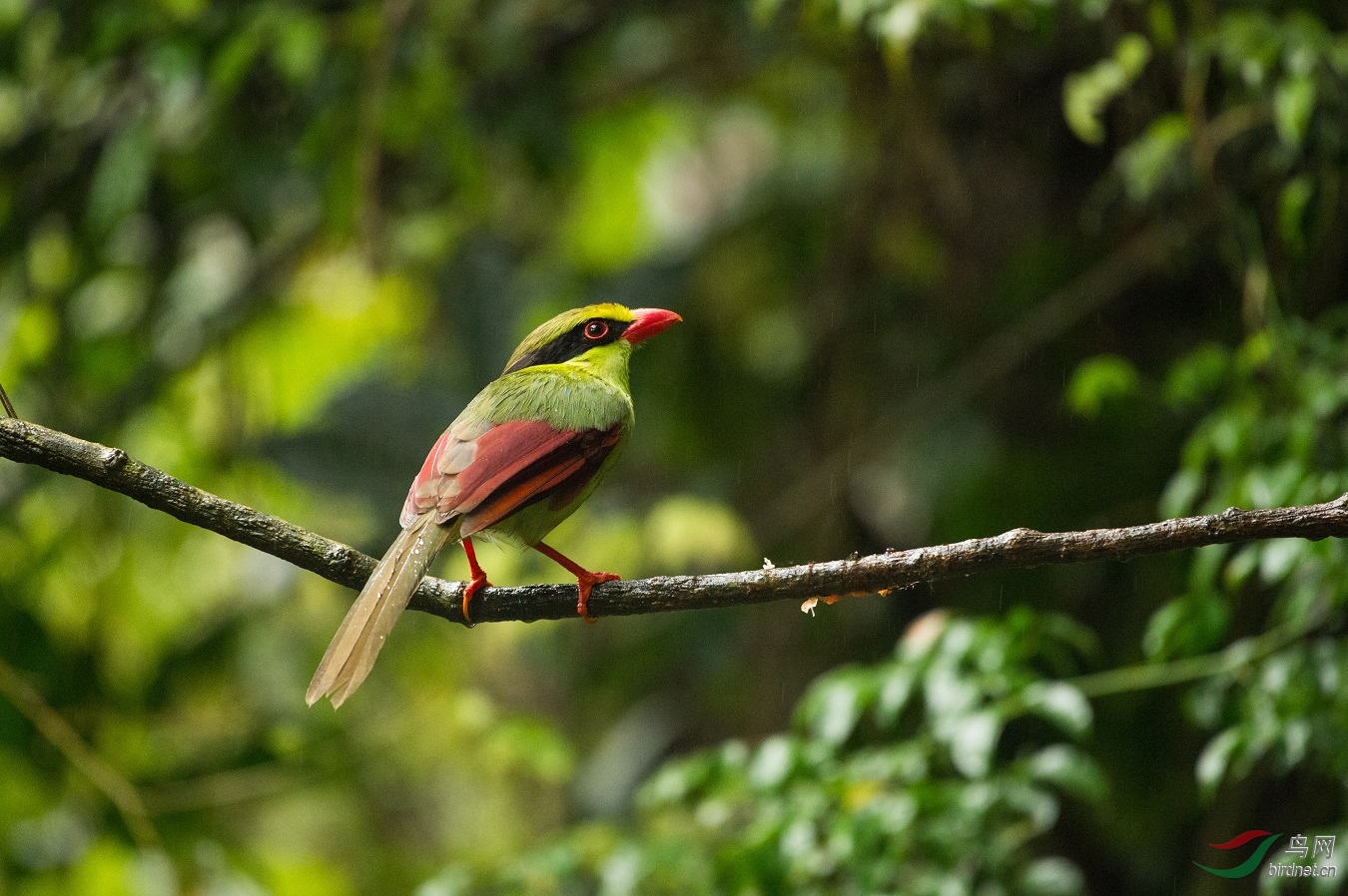 TJP_2846 - ����.jpg