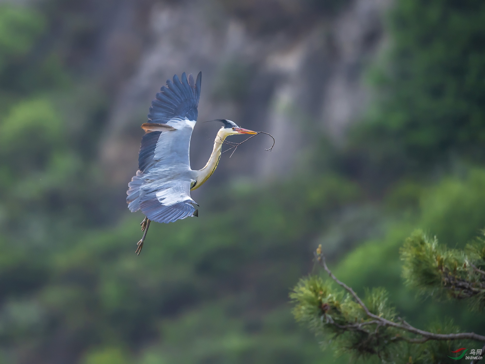 DSC_3707.jpg