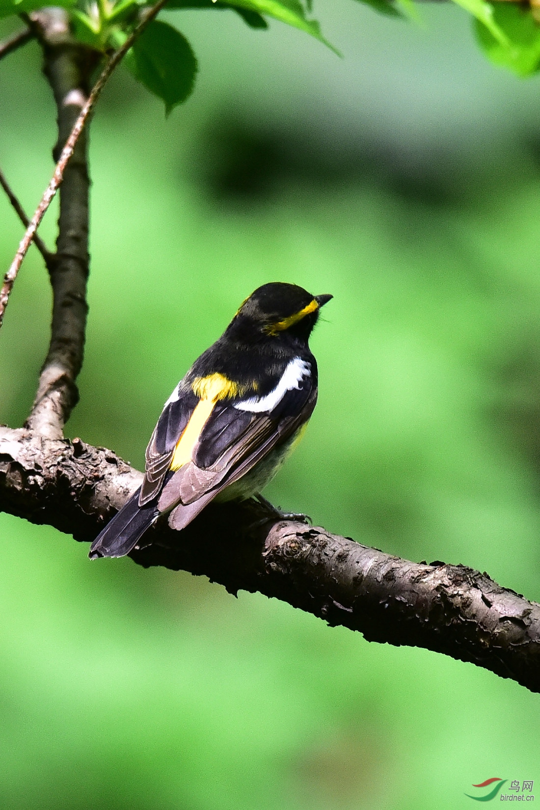 DSC_0899.JPG