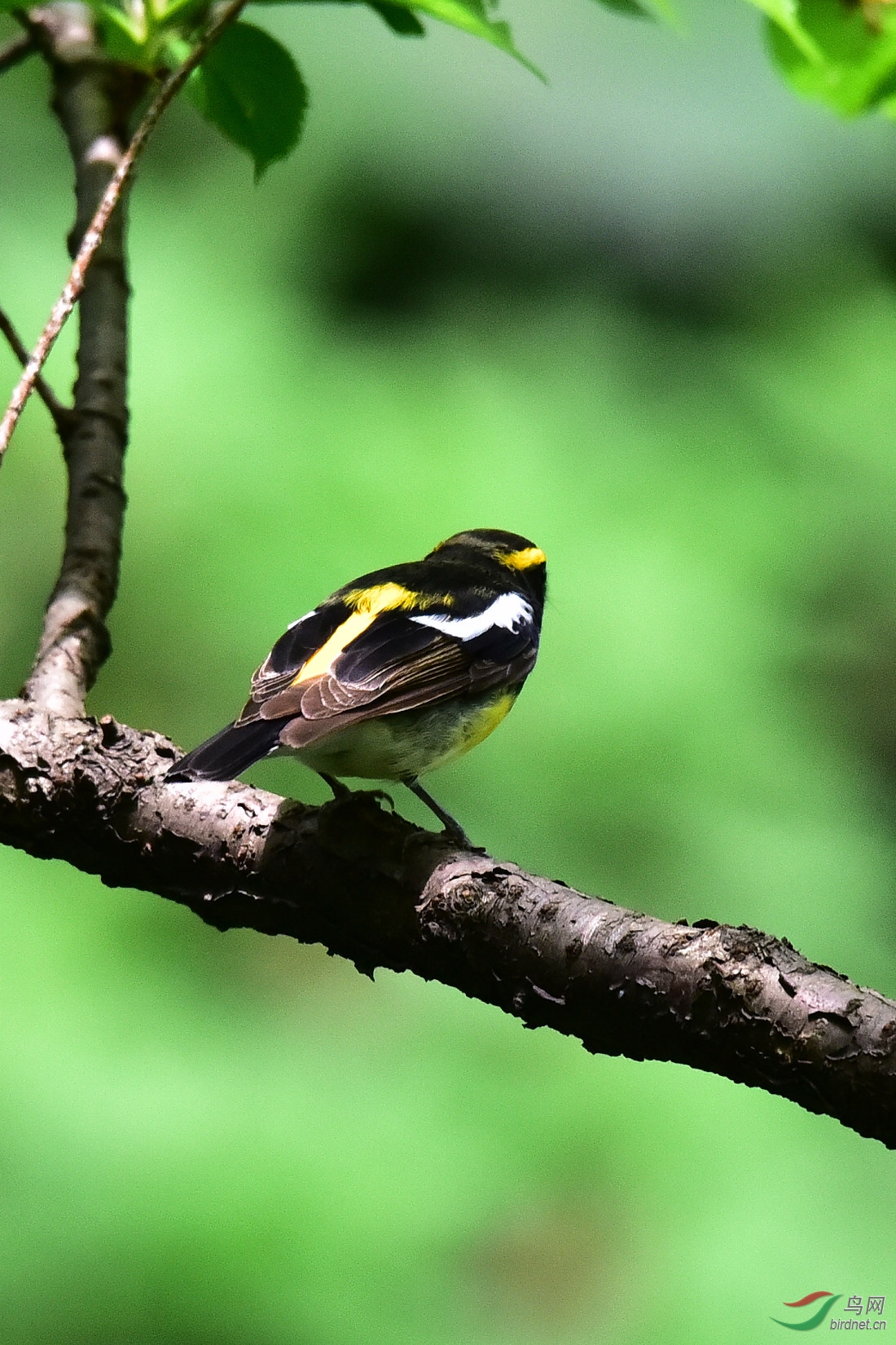 DSC_0900.JPG