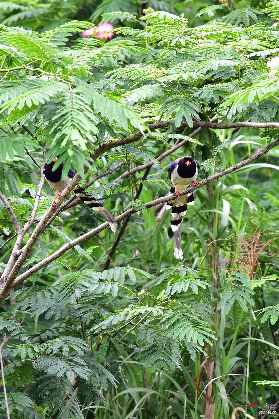 DSC_0129.JPG