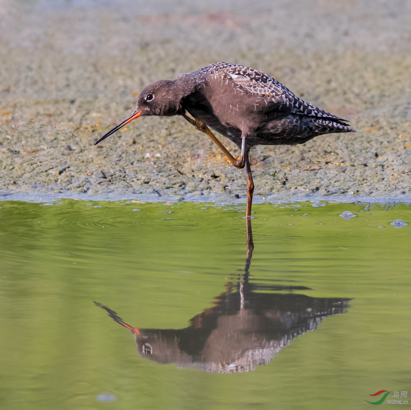 _F4I7947-1��������_������ �����֣�.JPG