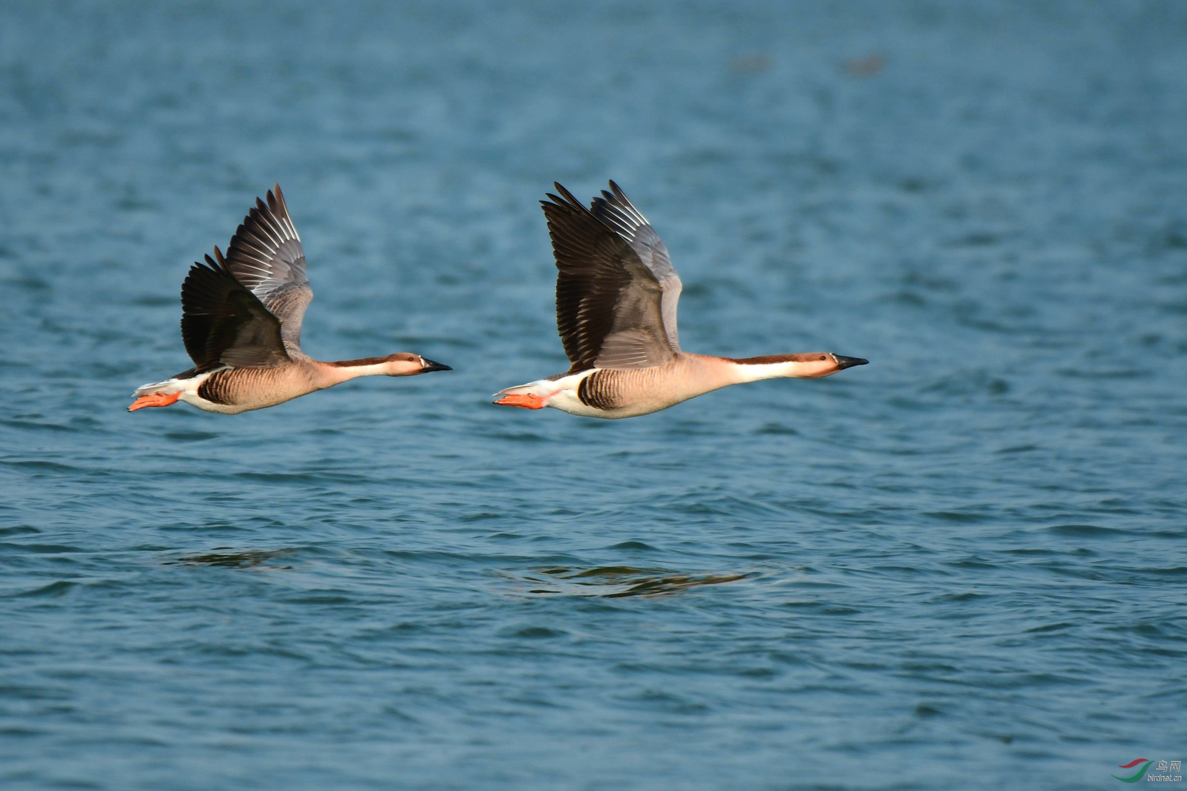 �ھ�����ü 1014.JPG