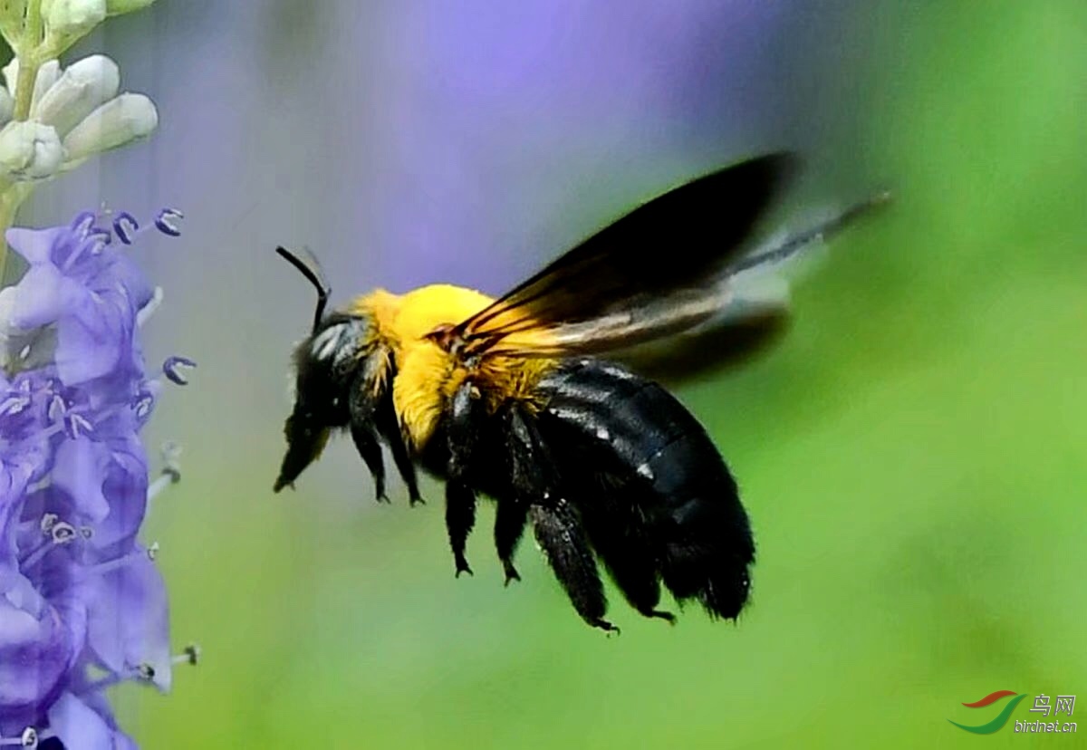 0769E176-0638-446A-BEE0-47711E9797A5.jpeg
