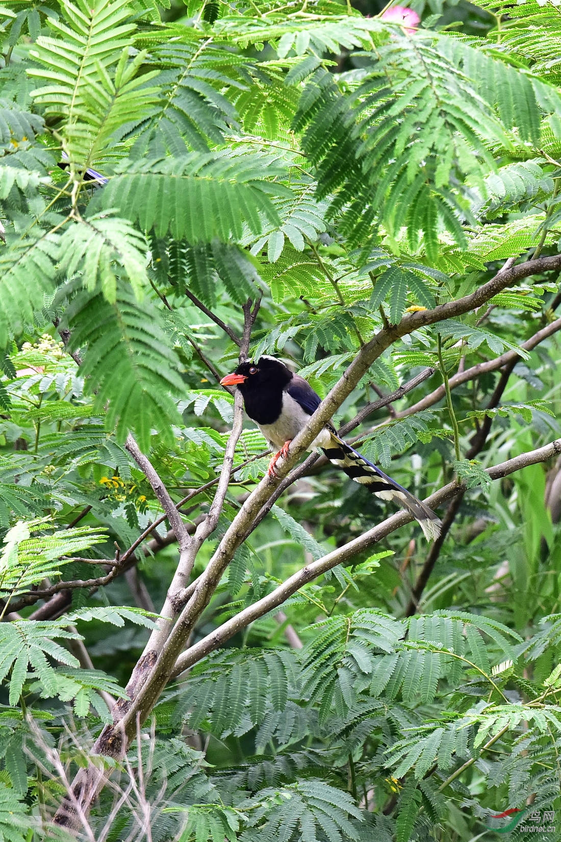 DSC_0134.JPG