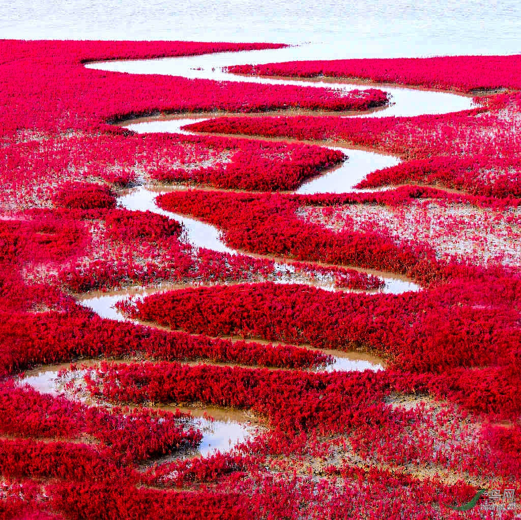 DSC_6057  1_����.jpg