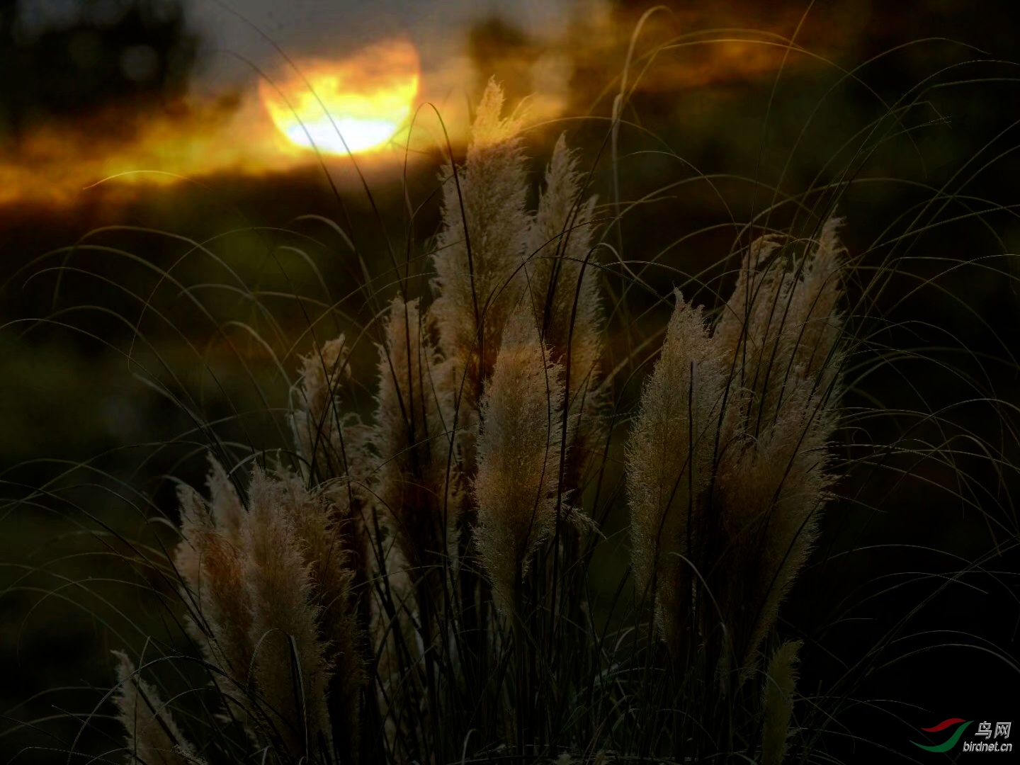 9B908A25-A117-4C76-B093-10ABEB947ADB.jpeg