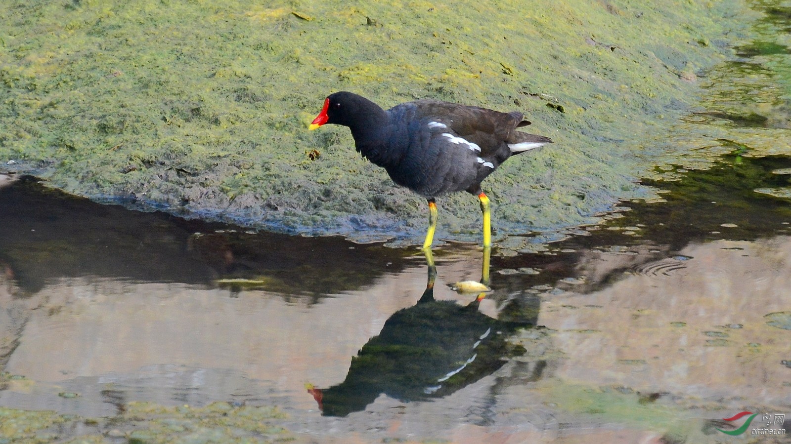 DSC_6237.JPG