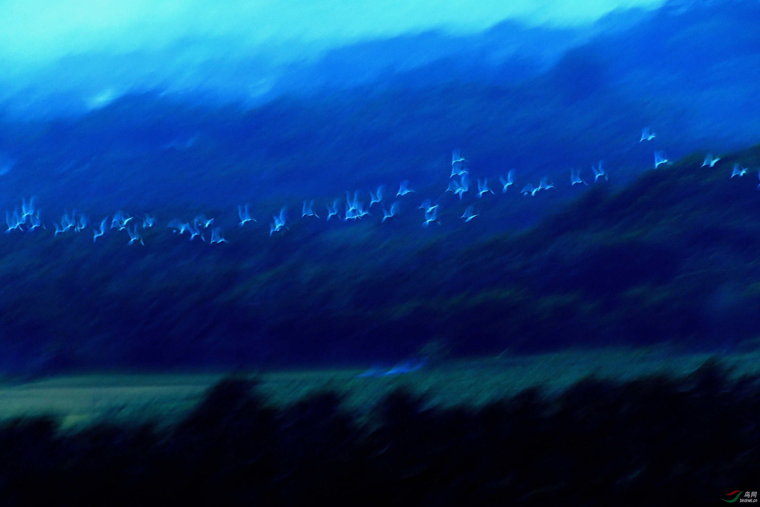 01.jpg