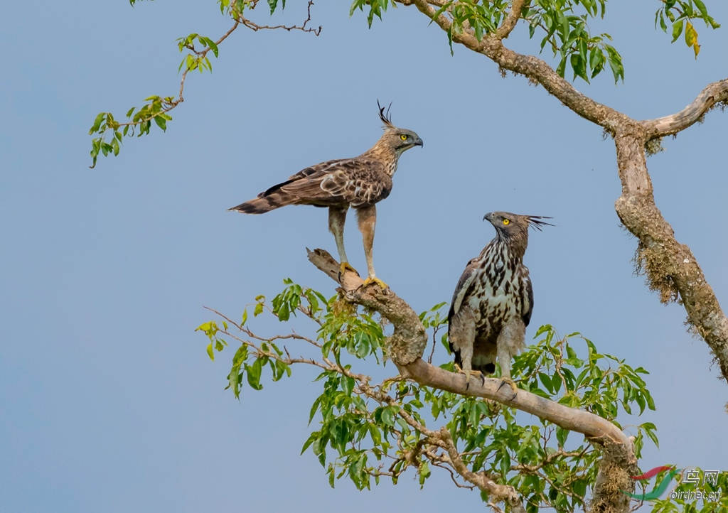 3S5A8988  01��������_����.jpg