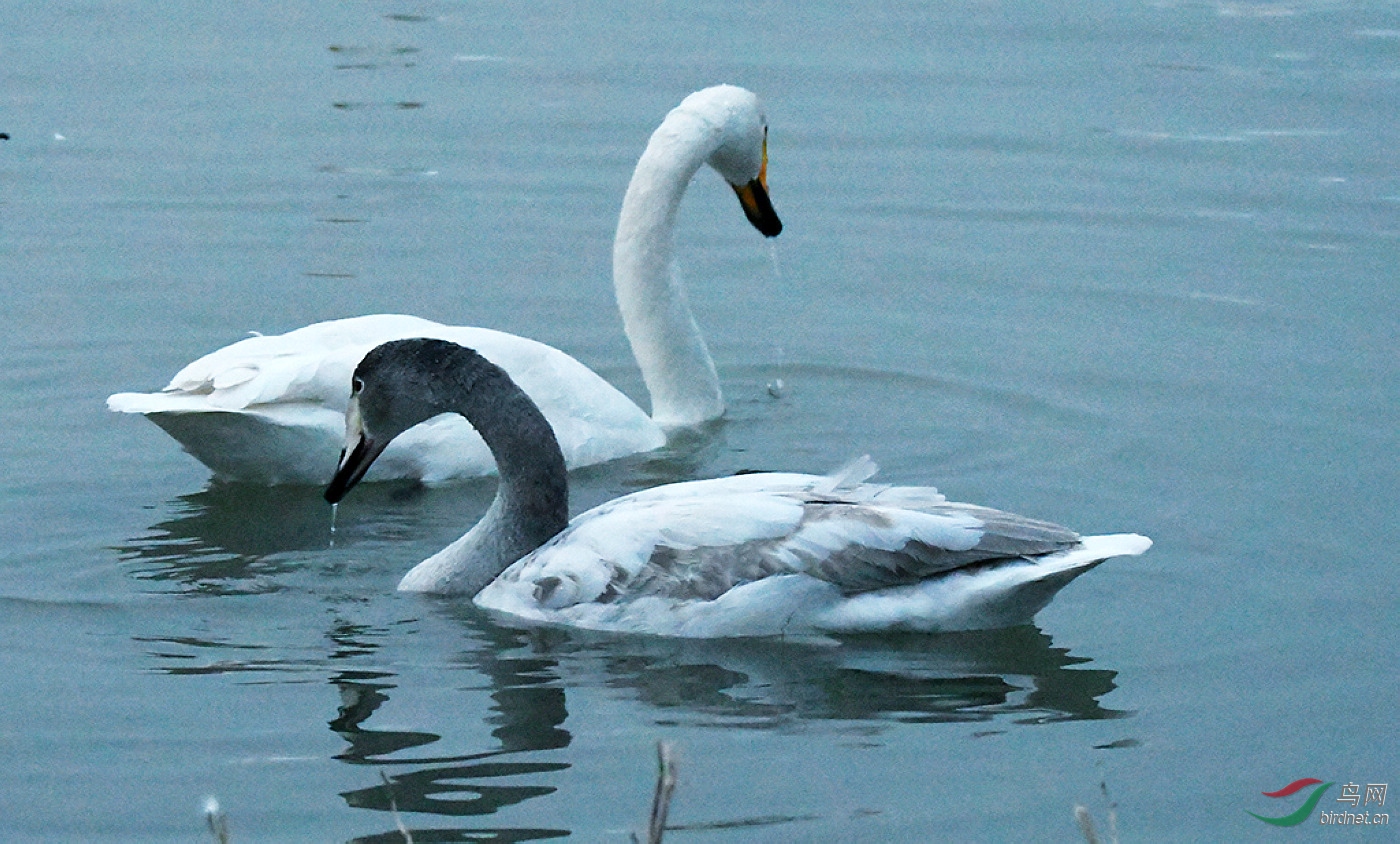 D50_5138.jpg