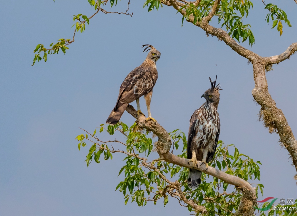 3S5A9025  01_����.jpg