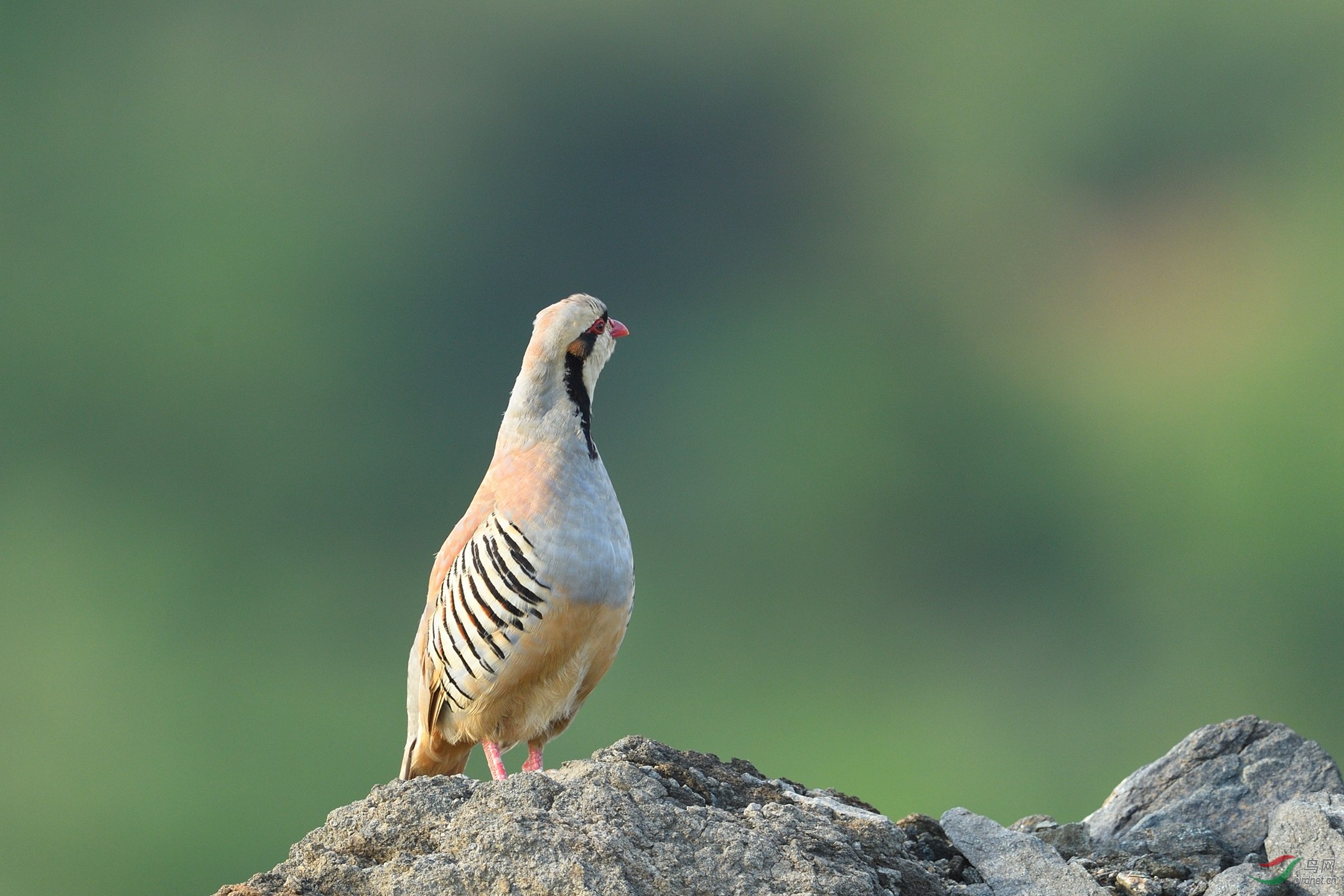 DSC_7075.jpg