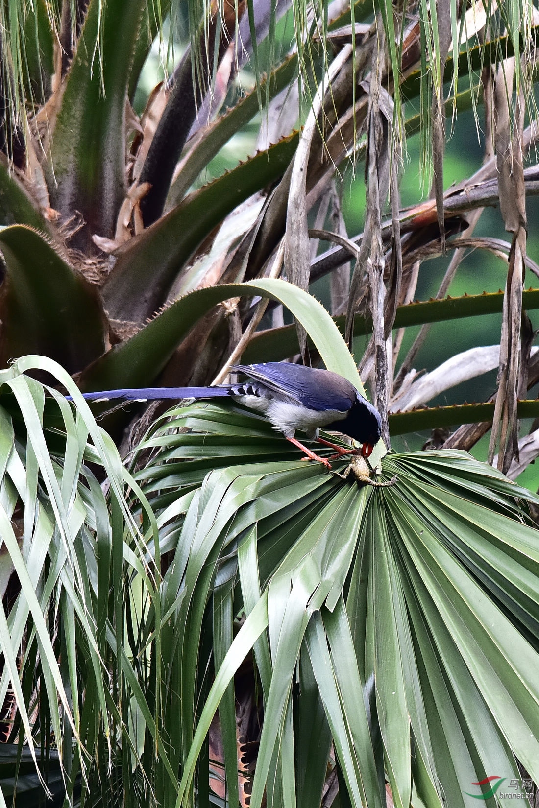 DSC_0142.JPG