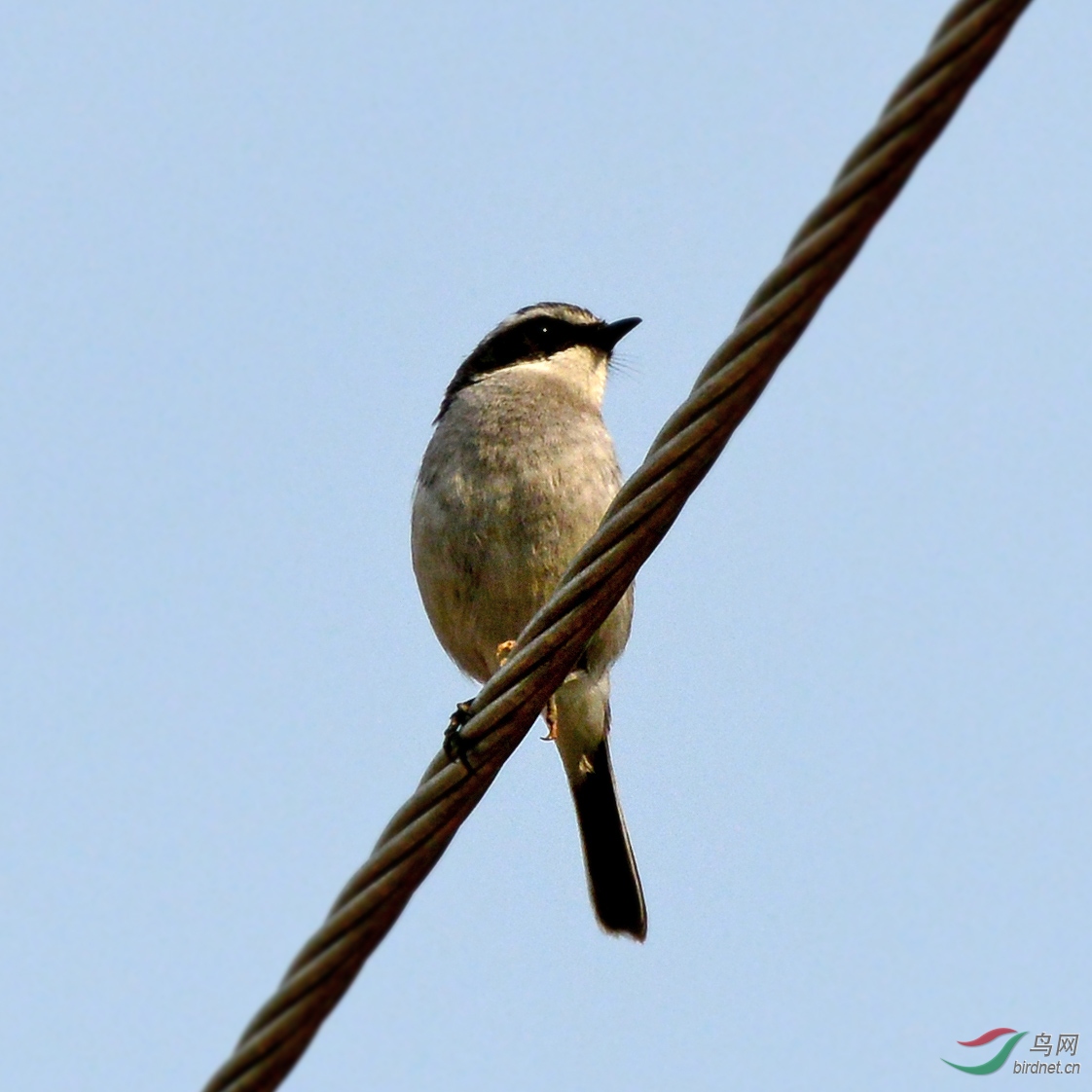DSC_21611.jpg