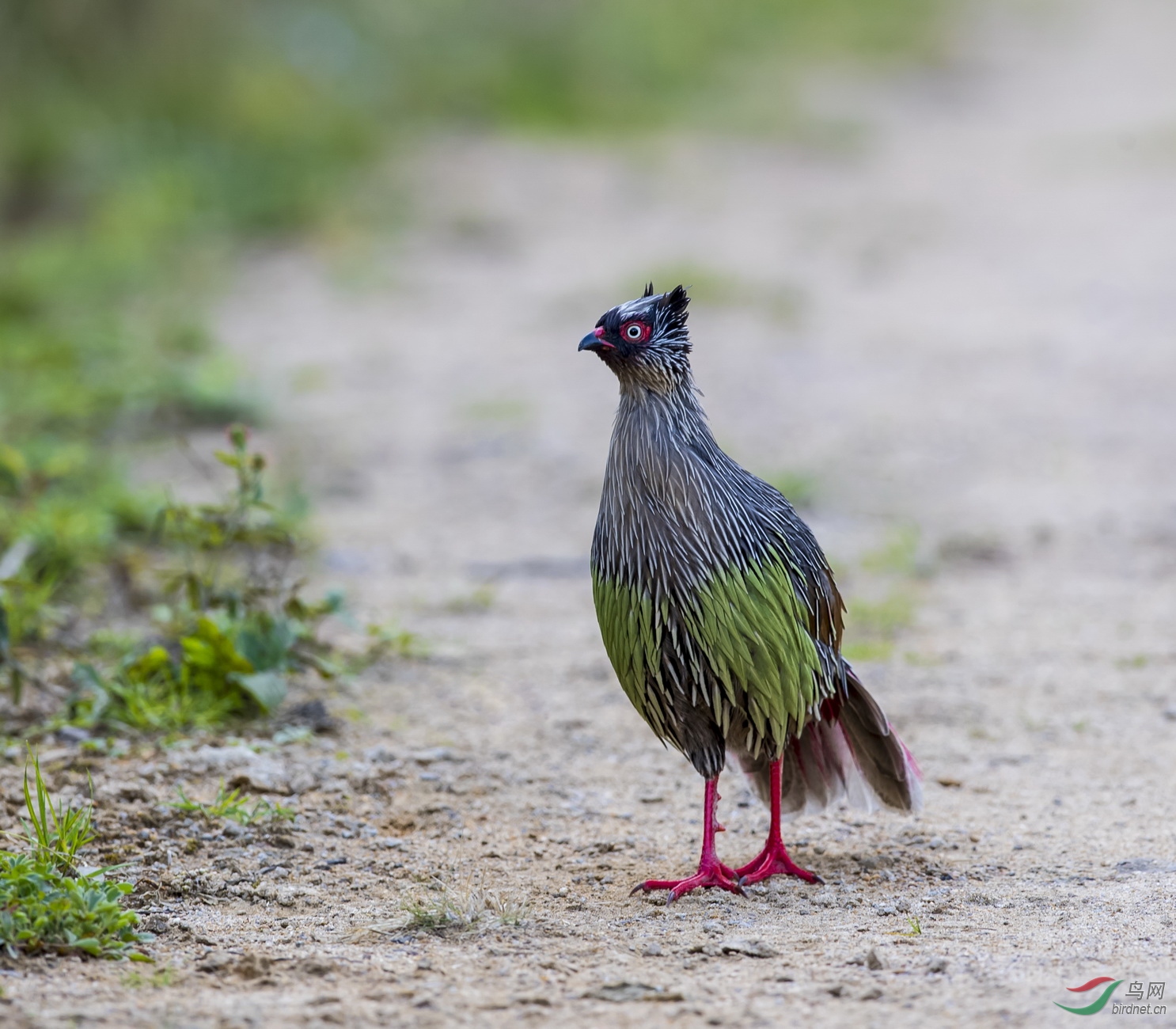 _F4I3075-1��������_���� ��Ѫ�� ��.JPG