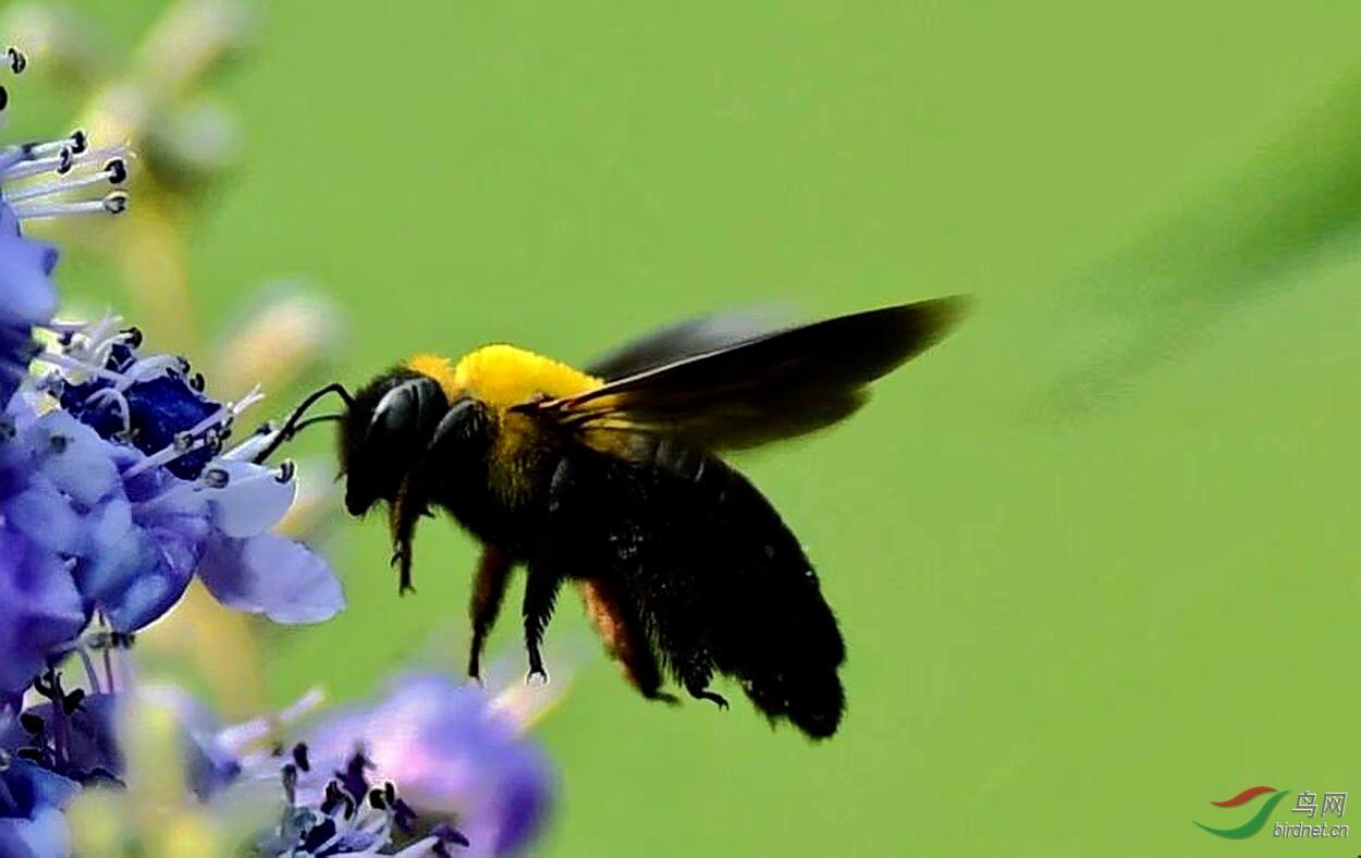 15771526-AAD5-4437-9D0A-678492C6DC1D.jpeg