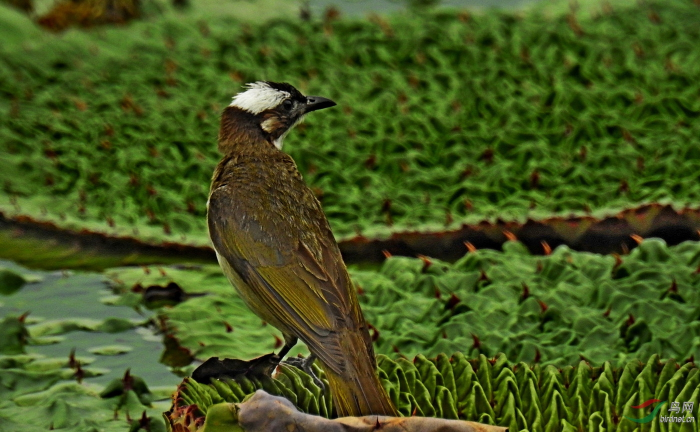 DSCN6418.JPG