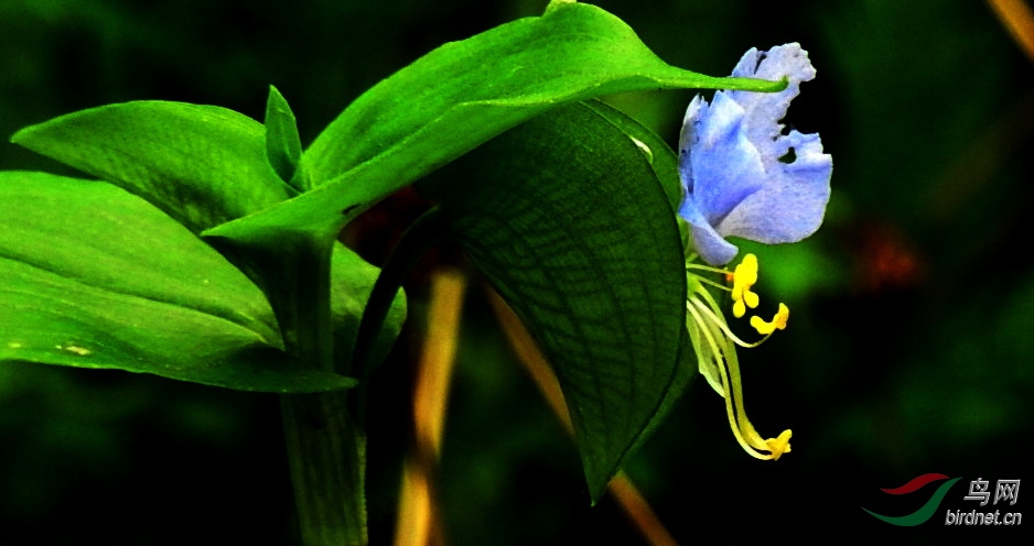 DSCN6520.JPG