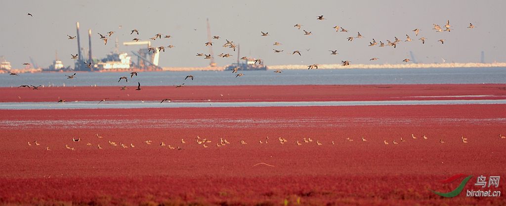 DSC_1519  5_����.jpg