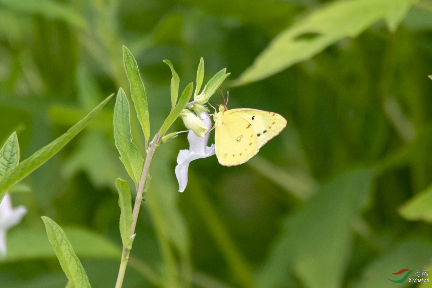 D85_5320.jpg