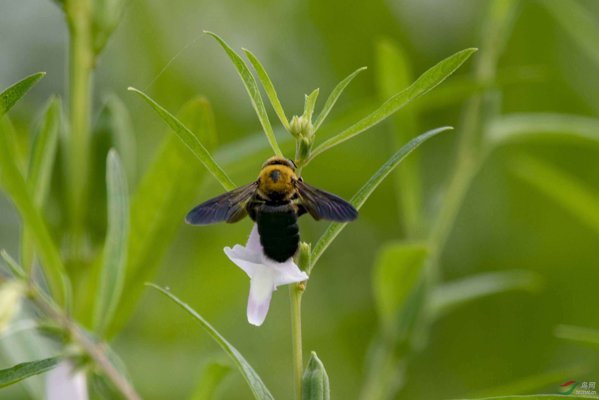 D85_5344.jpg