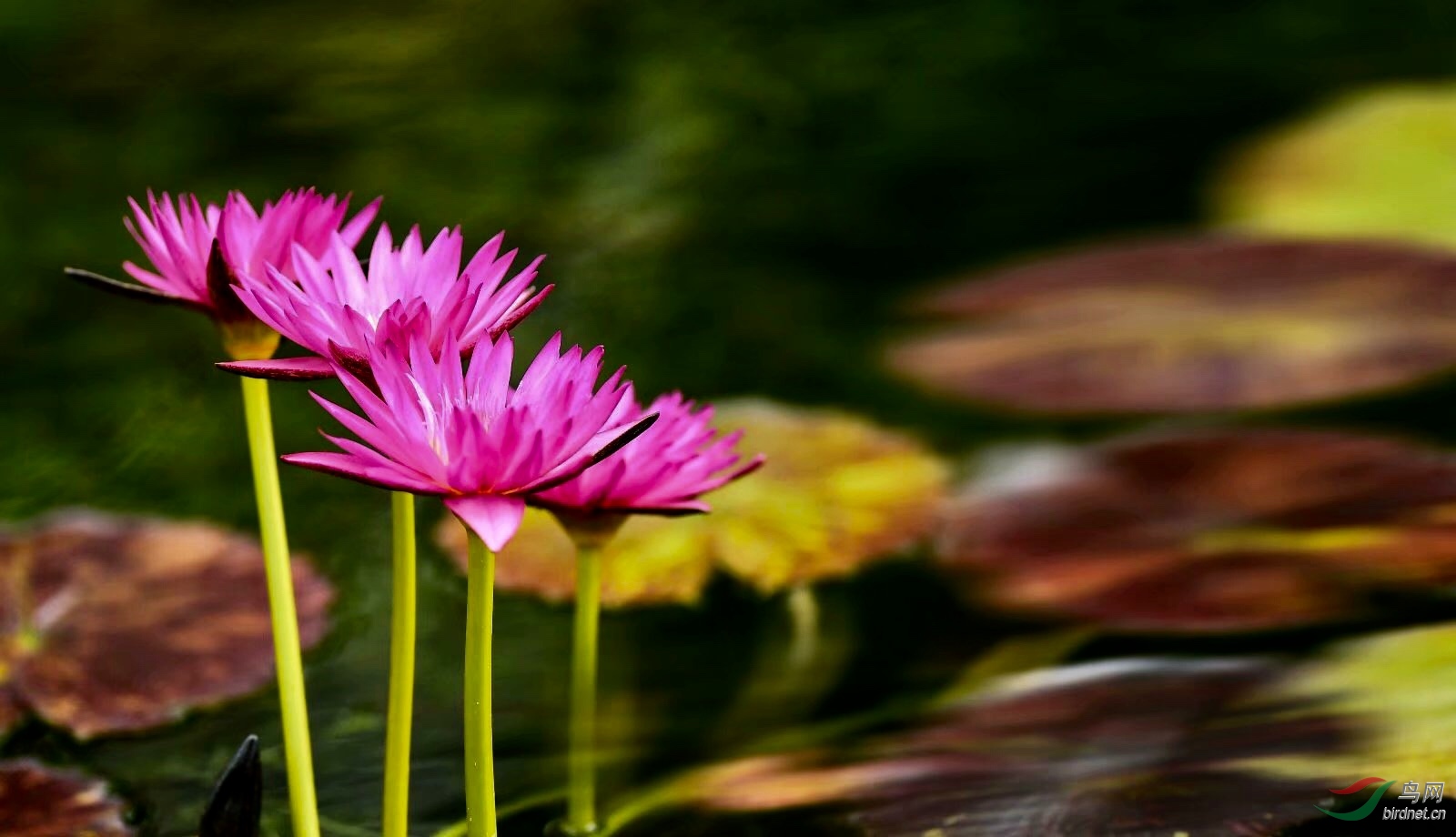 183CCB56-2683-41C2-9D45-6928E674CB62.jpeg