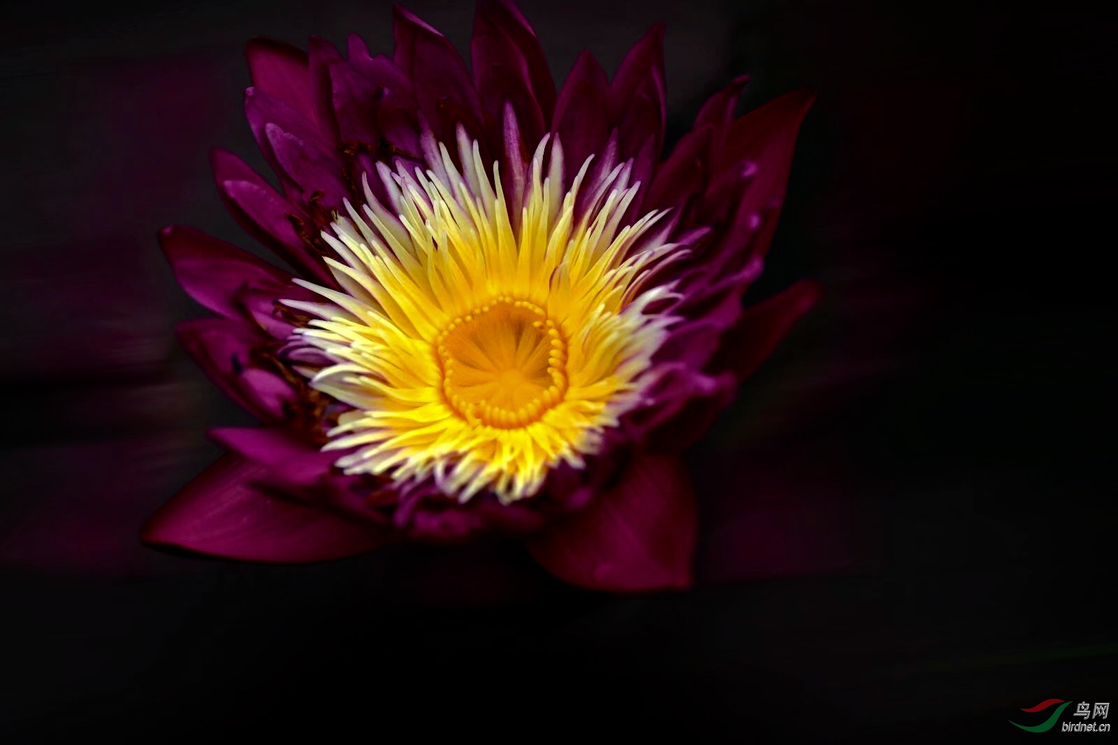 7B381148-061B-4F17-956F-4BE020149723.jpeg