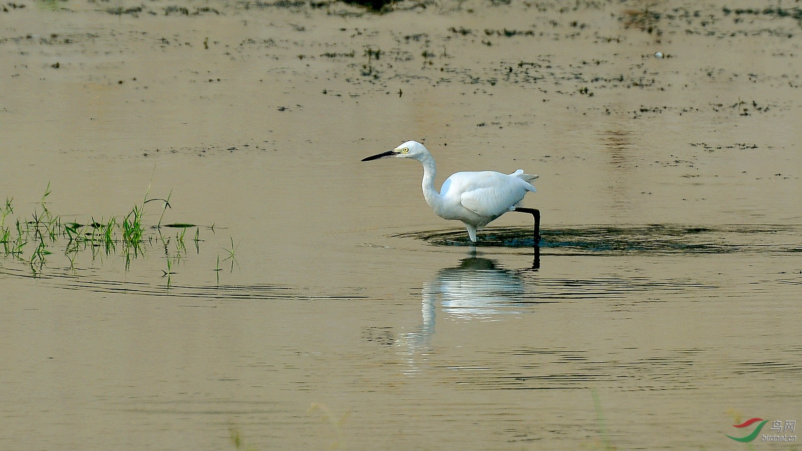 DSC_7150.JPG