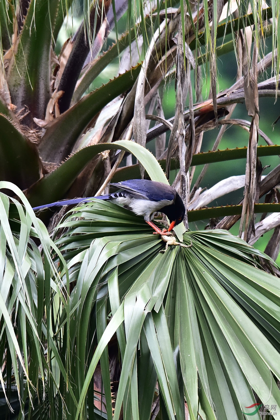 DSC_0147.JPG