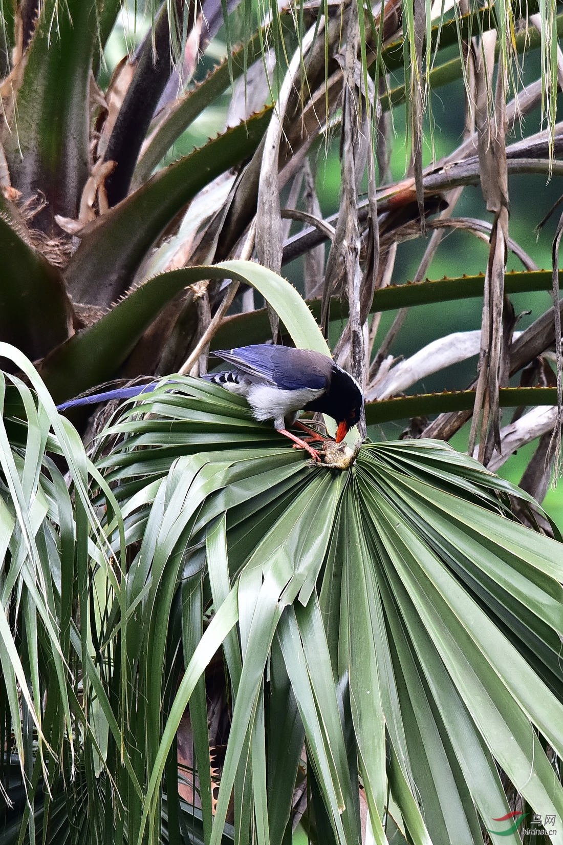 DSC_0149.JPG