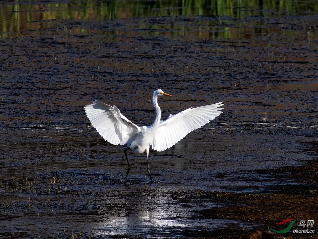 073A3486_����.jpg