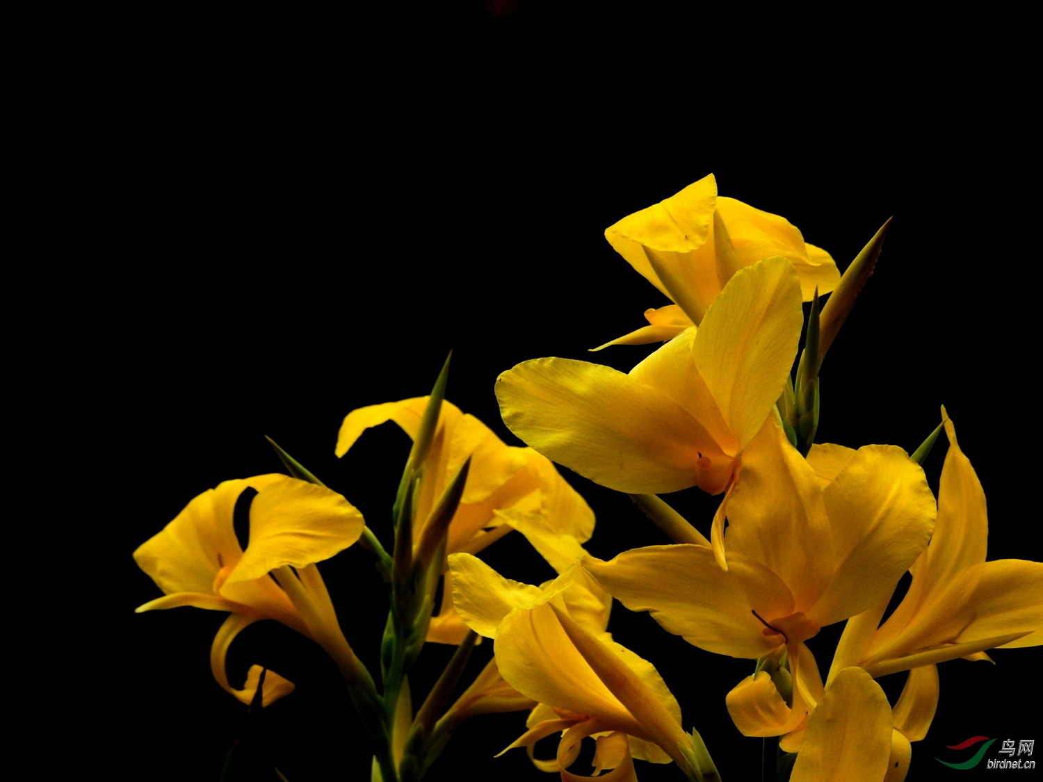 DSCN6389.JPG