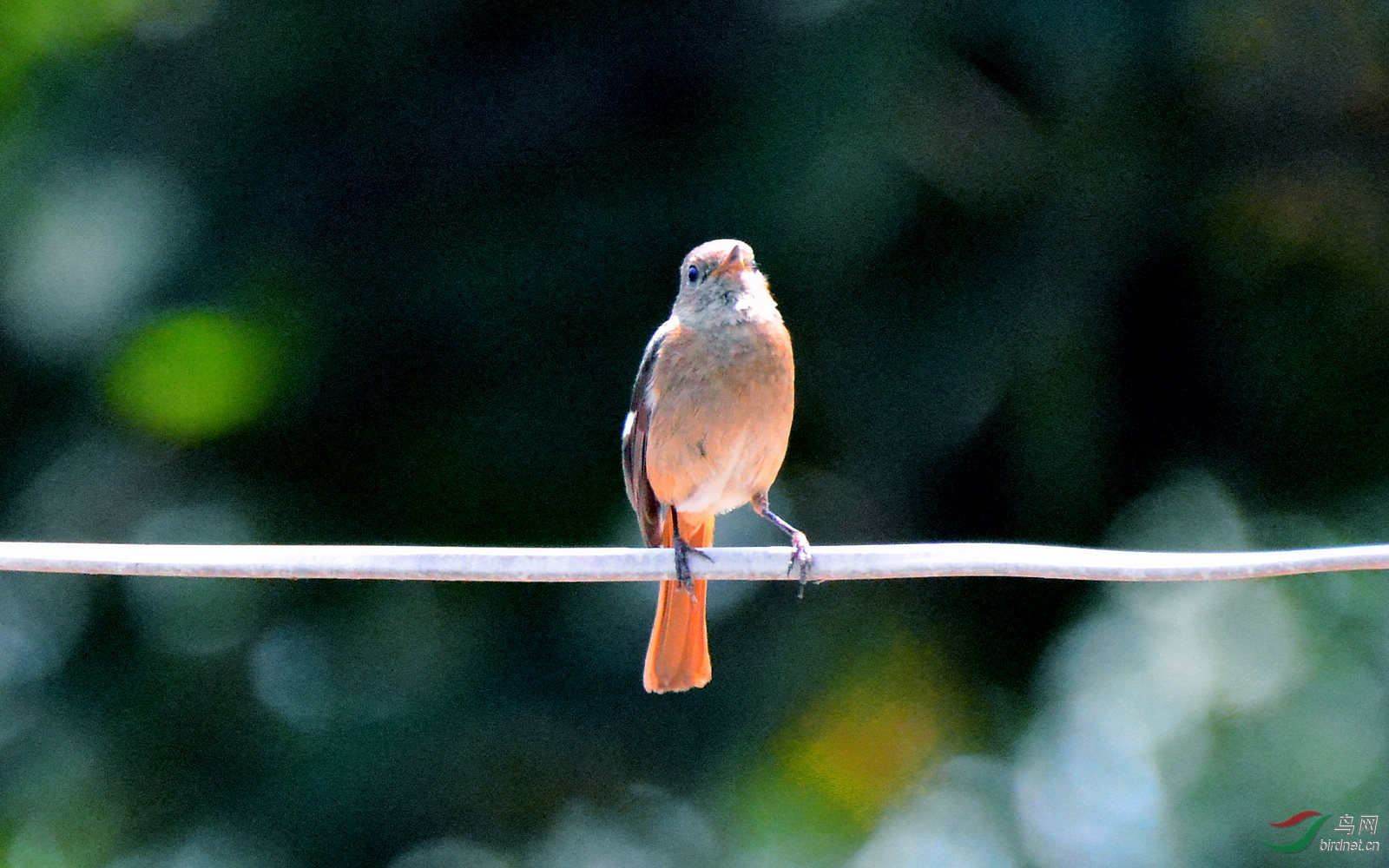 DSC_8689.JPG