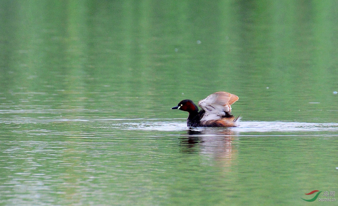 DSC_7275.JPG