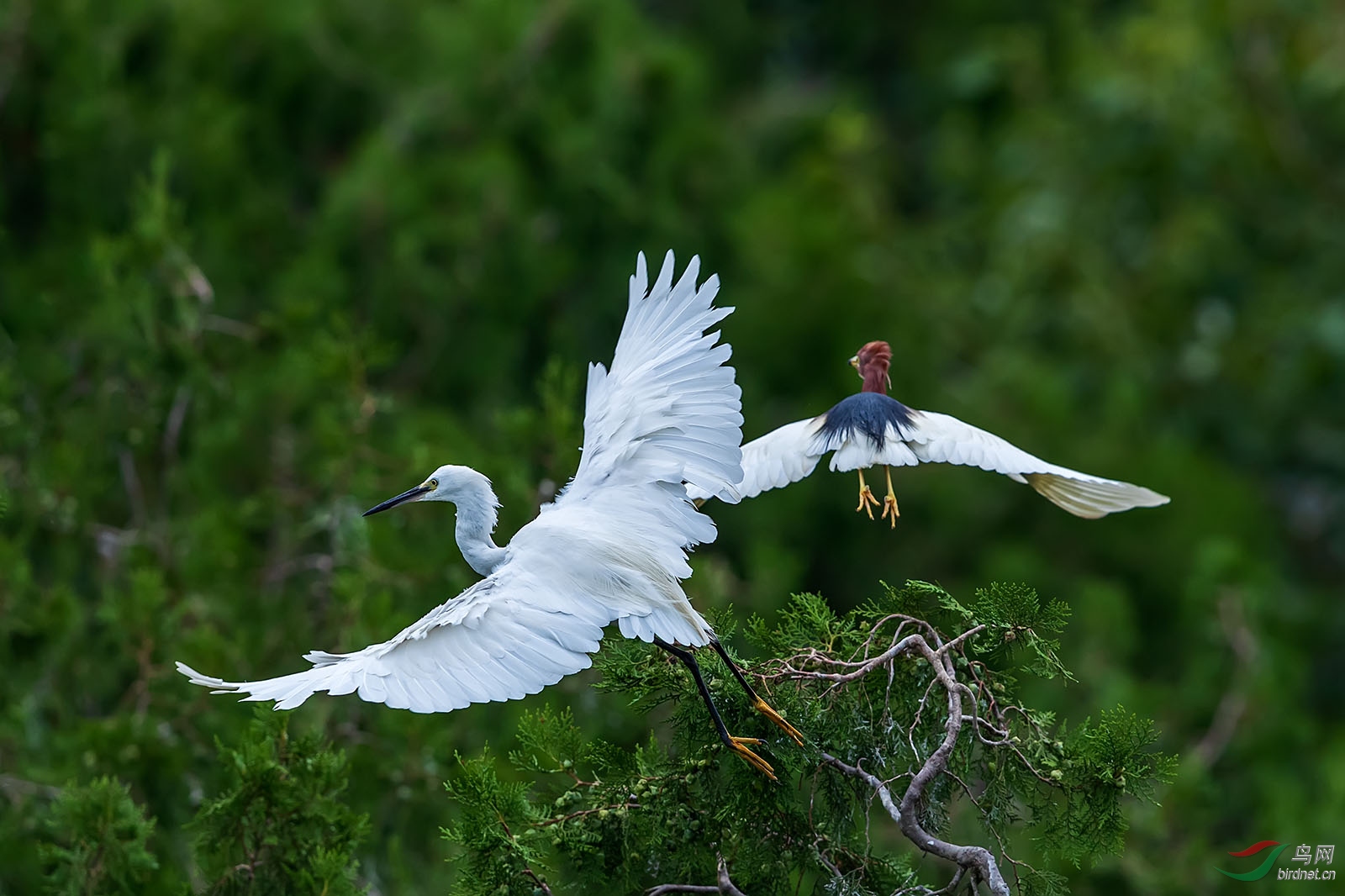 SH115738 ����.jpg