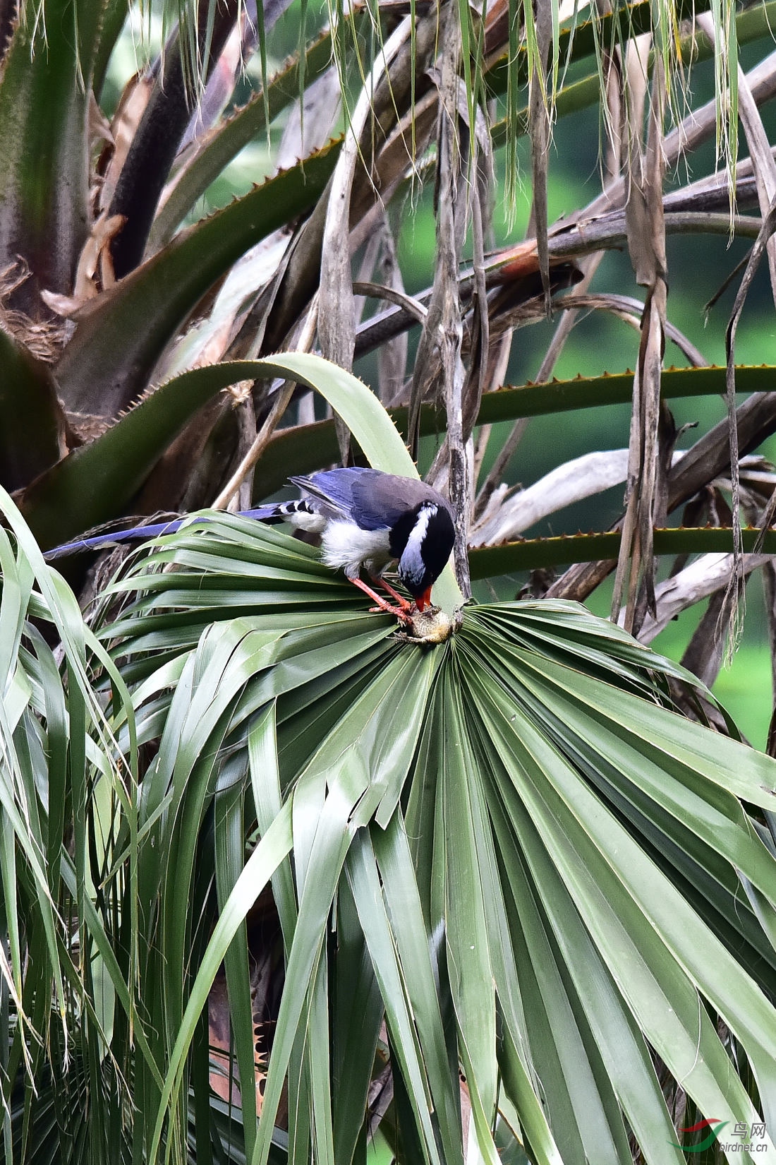 DSC_0152.JPG