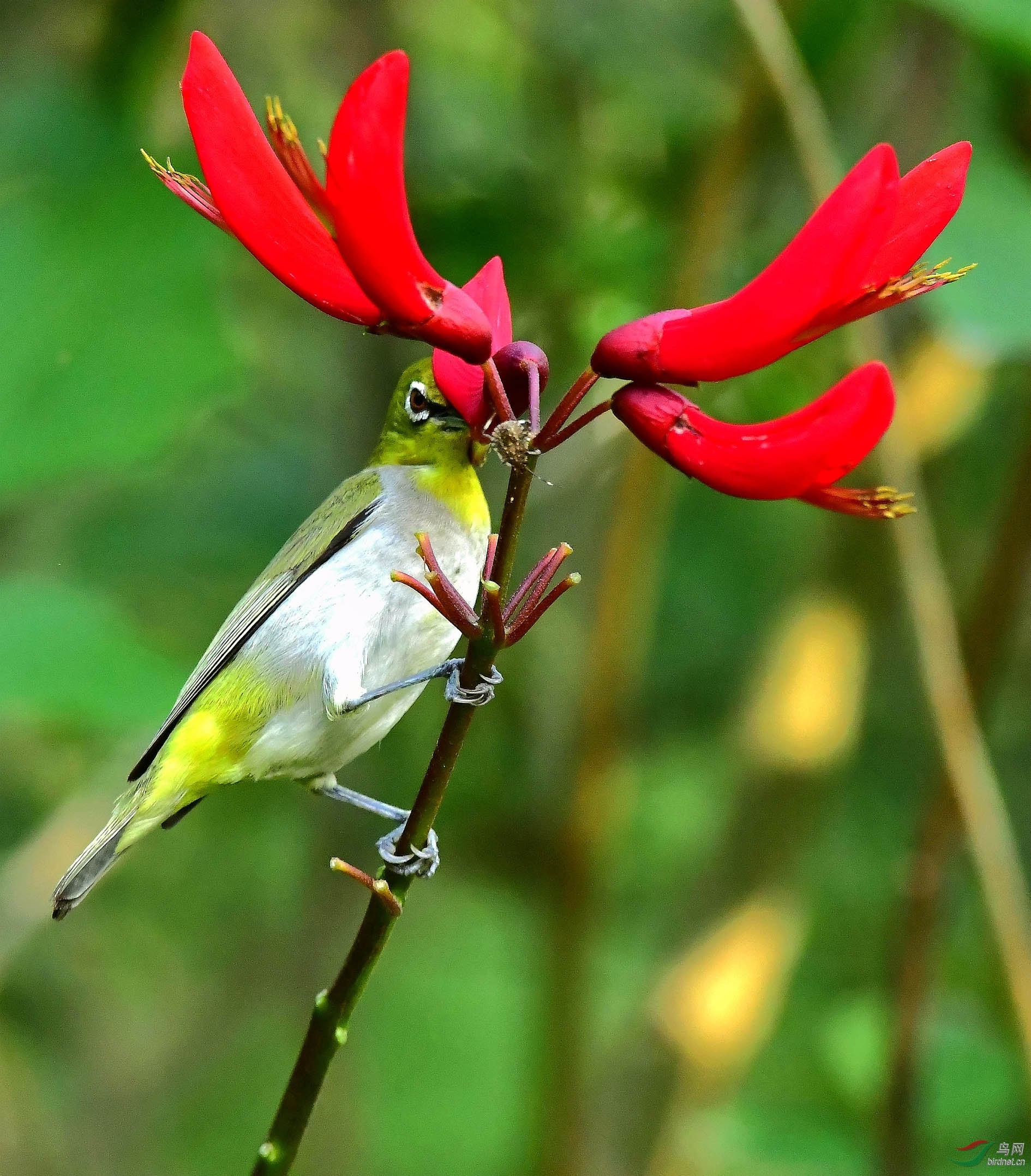 DSC_5594_����.jpg