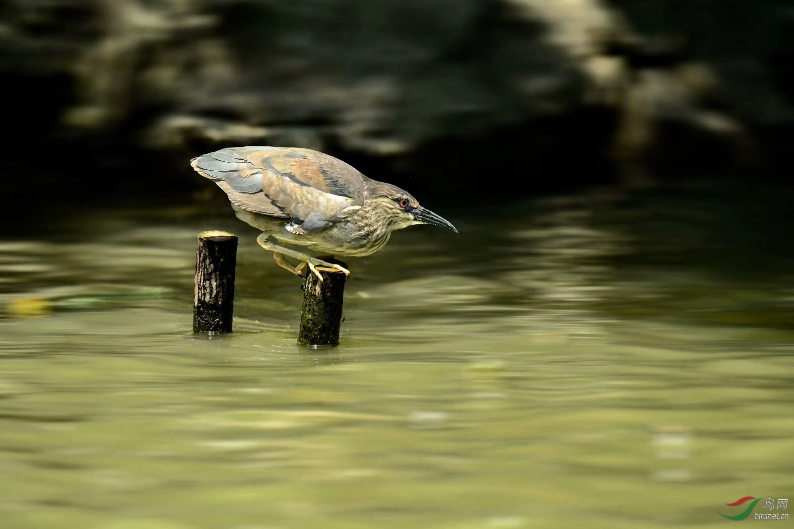 D693E21E-3E1F-4627-AE45-3B372F13908E.jpeg